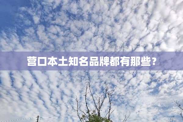 营口本土知名品牌都有那些？