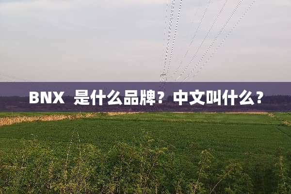 BNX  是什么品牌？中文叫什么？