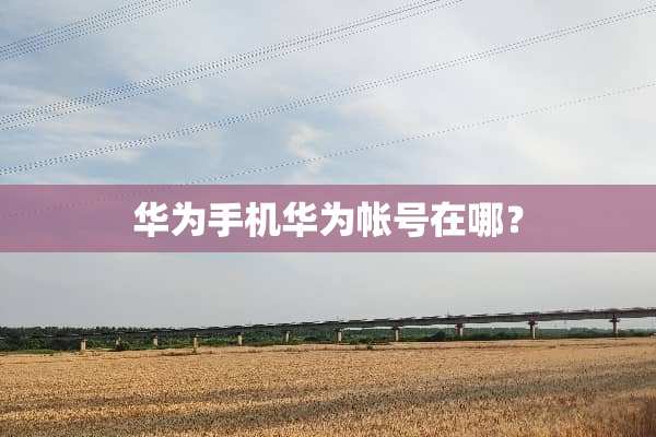 华为手机华为帐号在哪？