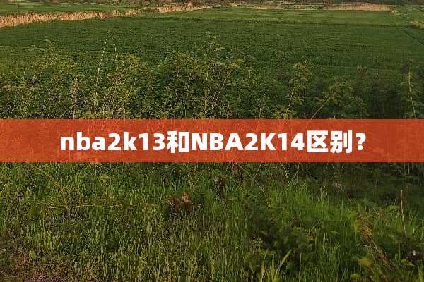 nba2k13和NBA2K14区别？