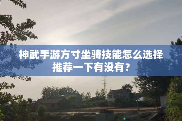 神武手游方寸坐骑技能怎么选择推荐一下有没有？