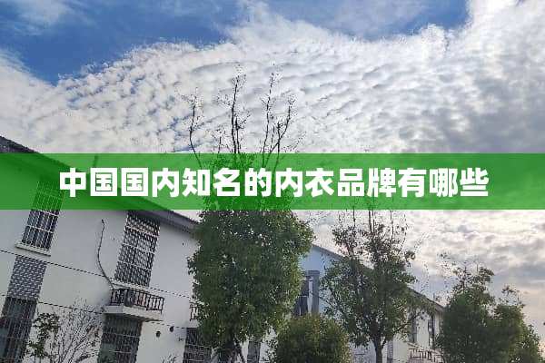 中国国内知名的**品牌有哪些