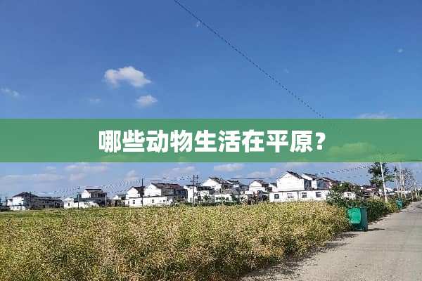 哪些动物生活在平原？