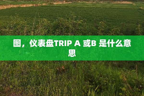 图，仪表盘TRIP A 或B 是什么意思