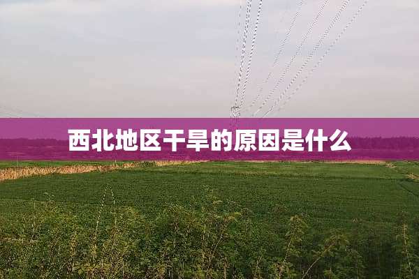 西北地区干旱的原因是什么