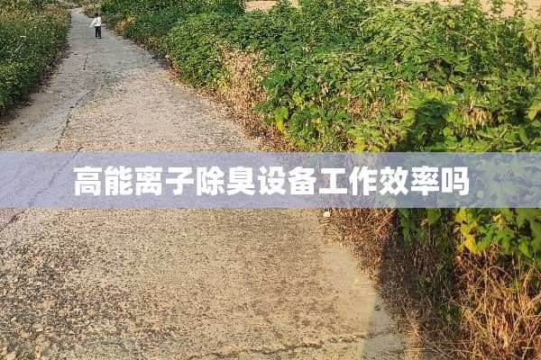 高能离子除臭设备工作效率吗