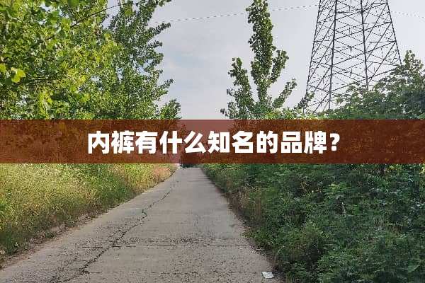**有什么知名的品牌？