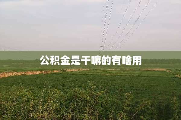 公积金是干嘛的有啥用