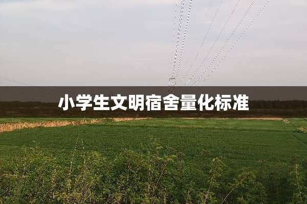 小学生文明宿舍量化标准