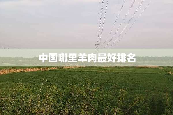 中国哪里羊肉最好排名