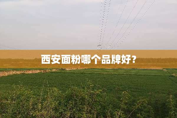 西安面粉哪个品牌好？