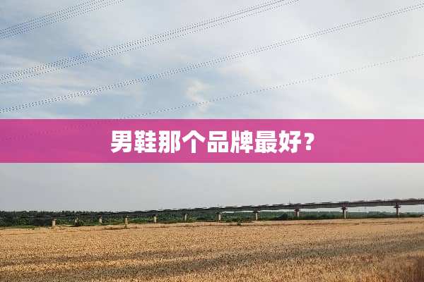 男鞋那个品牌最好？