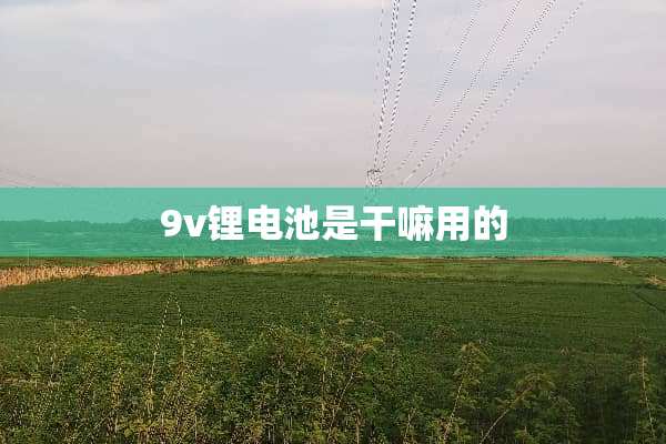 9v锂电池是干嘛用的