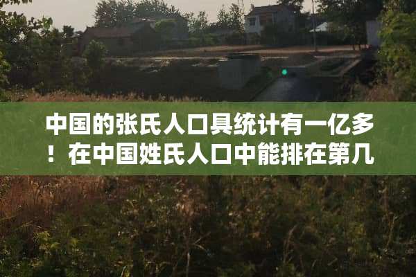 中国的张氏人口具统计有一亿多！在中国姓氏人口中能排在第几？