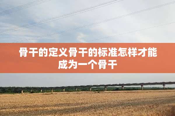 骨干的定义骨干的标准怎样才能成为一个骨干