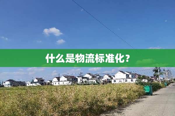 什么是物流标准化？