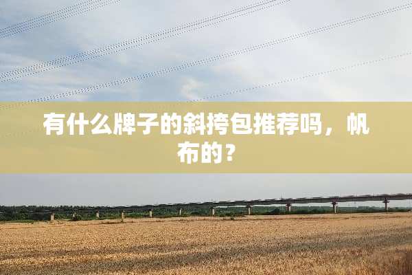 有什么牌子的斜挎包推荐吗，帆布的？