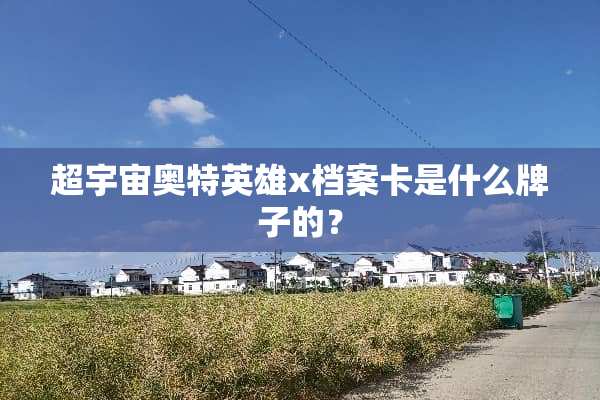 超宇宙奥特英雄x档案卡是什么牌子的？