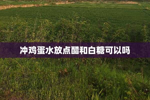 冲鸡蛋水放点醋和白糖可以吗