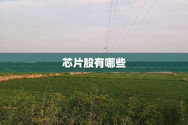 芯片股有哪些
