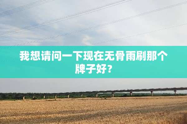 我想请问一下现在无骨雨刷那个牌子好？