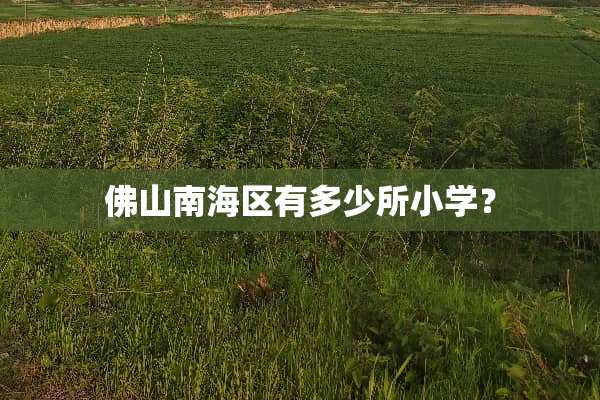 佛山南海区有多少所小学？