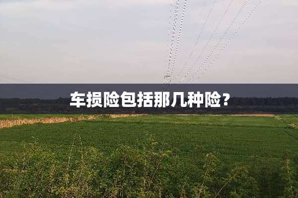 车损险包括那几种险？