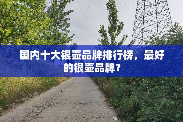 国内十大银壶品牌排行榜，最好的银壶品牌？