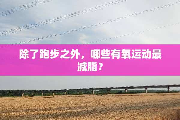 除了跑步之外，哪些有氧运动最减脂？