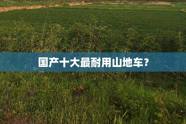 国产十大最耐用山地车？