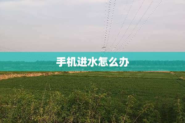 手机进水怎么办