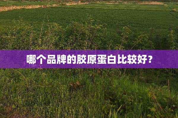 哪个品牌的胶原蛋白比较好？