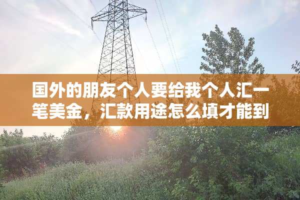 国外的朋友个人要给我个人汇一笔美金，汇款用途怎么填才能到我账上