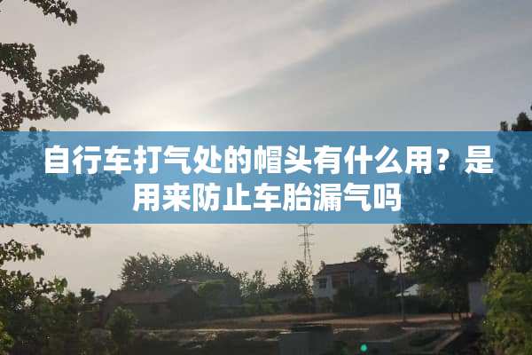 自行车打气处的帽头有什么用？是用来防止车胎漏气吗