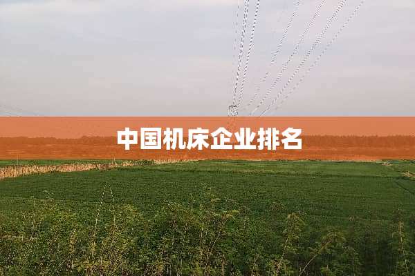 中国机床企业排名