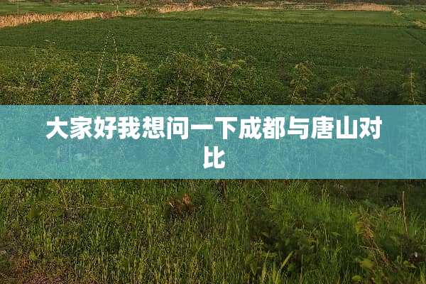 大家好我想问一下成都与唐山对比