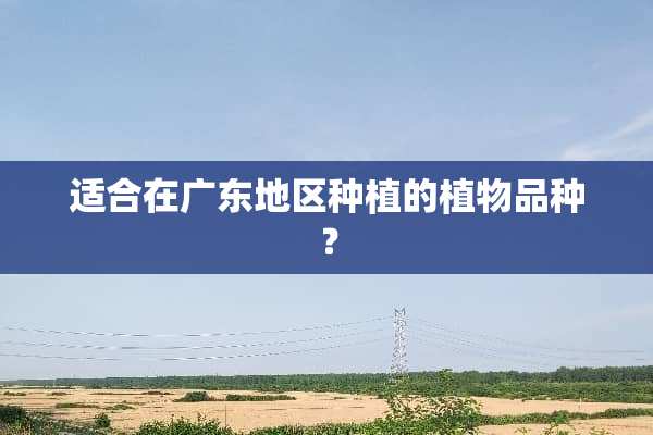 适合在广东地区种植的植物品种？