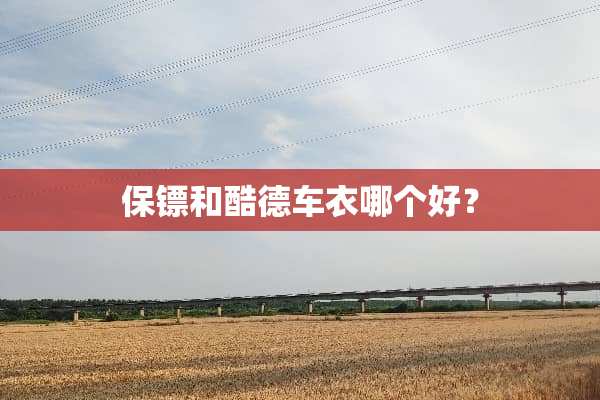 保镖和酷德车衣哪个好？