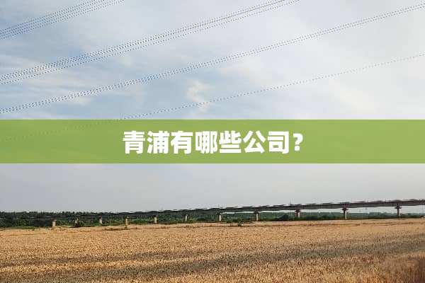 青浦有哪些公司？