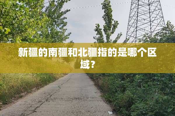 新疆的南疆和北疆指的是哪个区域？
