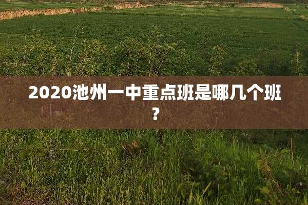 2020池州一中重点班是哪几个班？