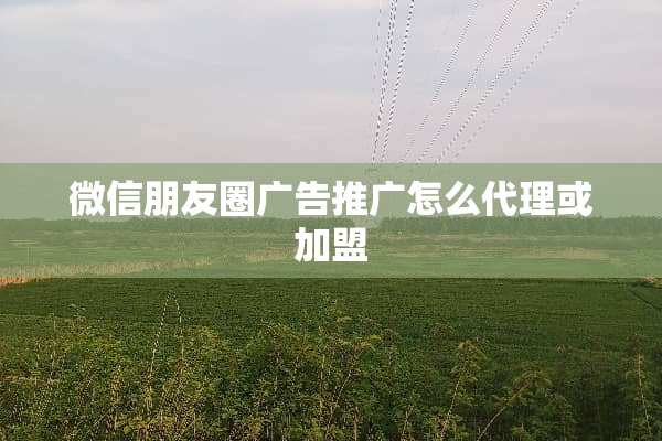 微信朋友圈广告推广怎么代理或加盟