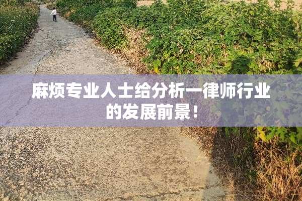 麻烦专业人士给分析一律师行业的发展前景！