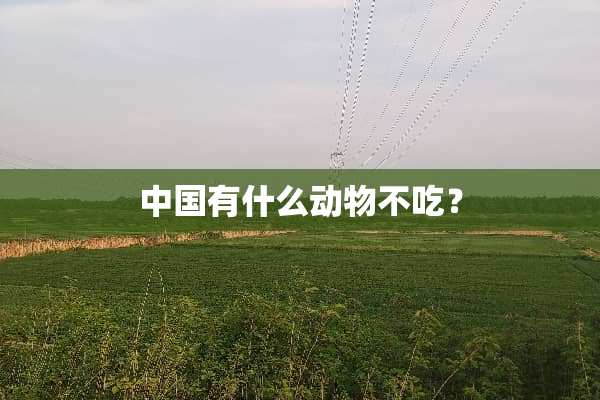 中国有什么动物不吃？