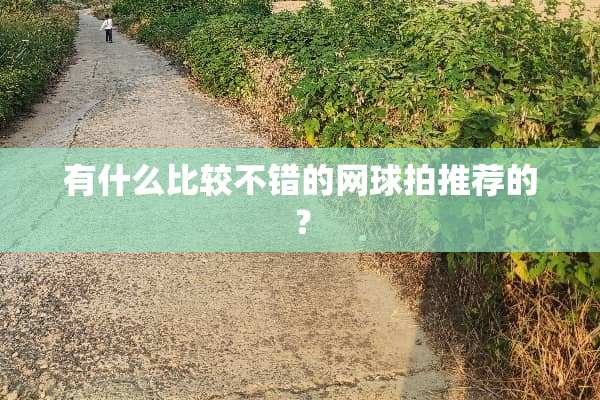 有什么比较不错的网球拍推荐的？