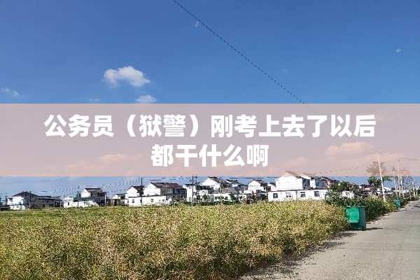 公务员（狱警）刚考上去了以后都干什么啊
