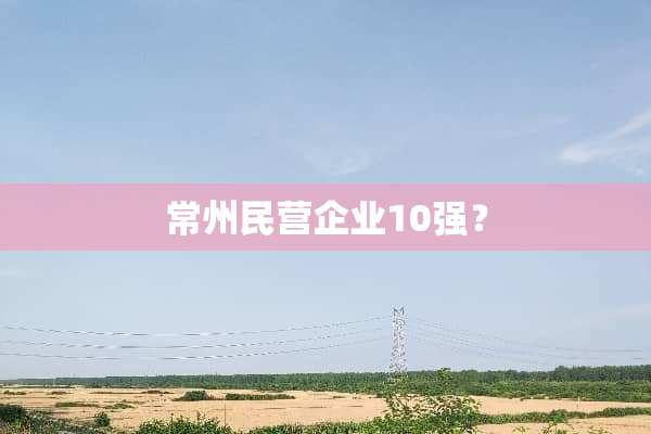 常州民营企业10强？