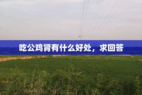 吃公鸡肾有什么好处，求回答