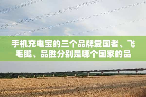 手机充电宝的三个品牌爱国者、飞毛腿、品胜分别是哪个国家的品牌？