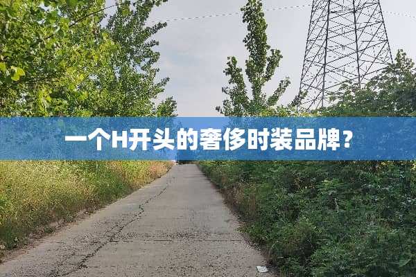 一个H开头的奢侈时装品牌？